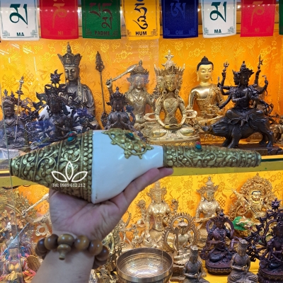 Ốc Pháp Loa Nepal 35 cm Pháp khí Mật tông